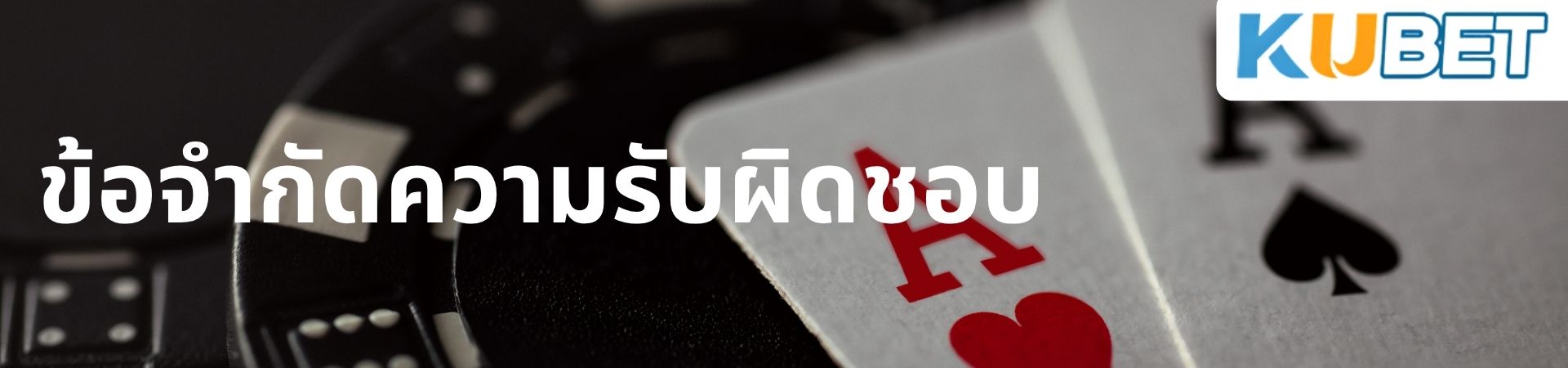 ภาพ ข้อจำกัดความรับผิดชอบ